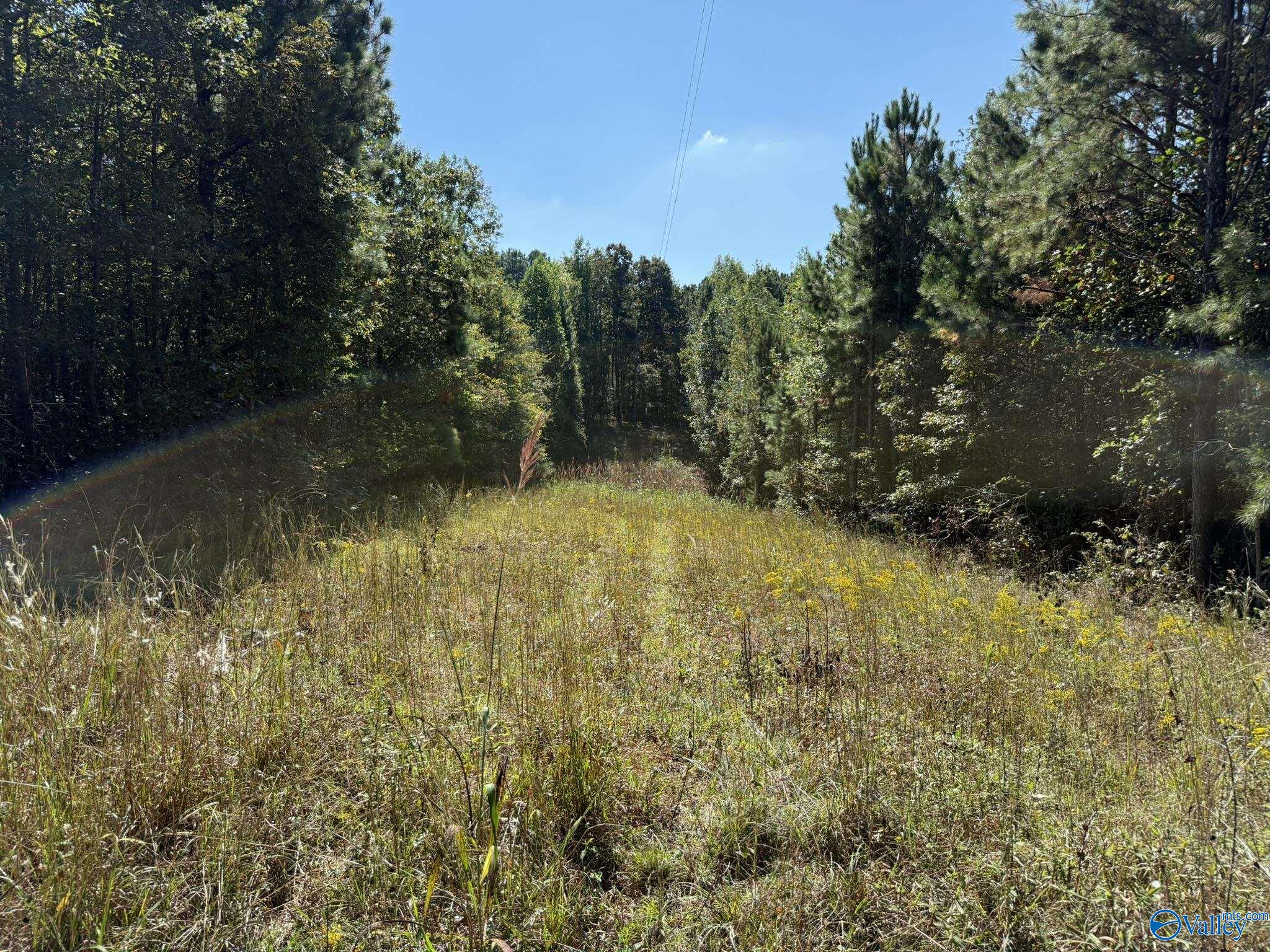 39 Acres County Road 1105