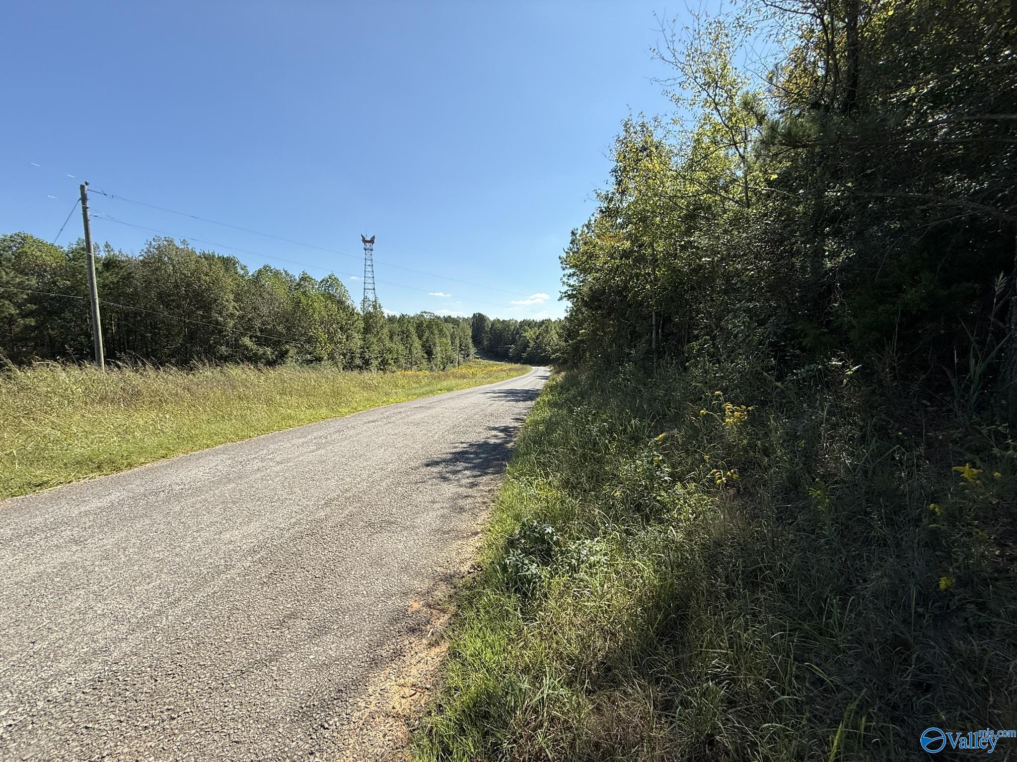 39 Acres County Road 1105