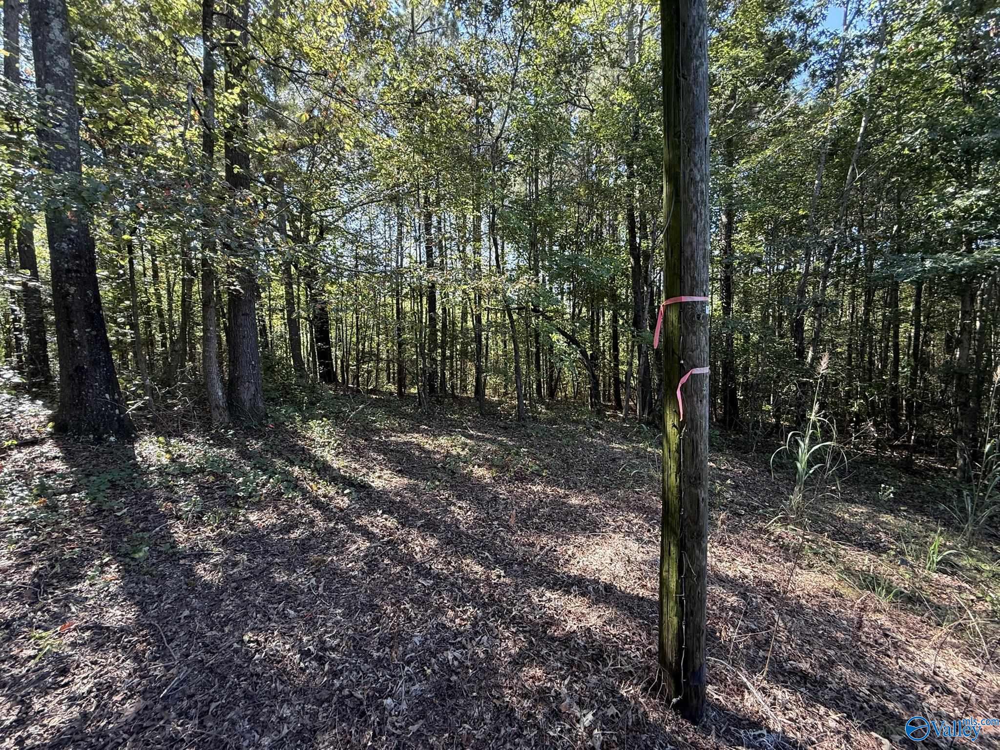 39 Acres County Road 1105