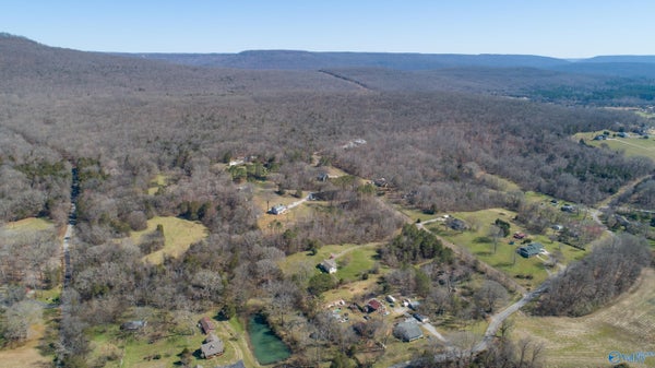 72.77 ACRES COUNTY LAKE ROAD, GURLEY, AL 35748 - Image 2e9aecdcd63f0c791349f4d92d463f44/2883927112
