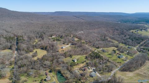 Vacant Land For Sale - 72.77 ACRES County Lake Road<br/> Gurley, AL 35748