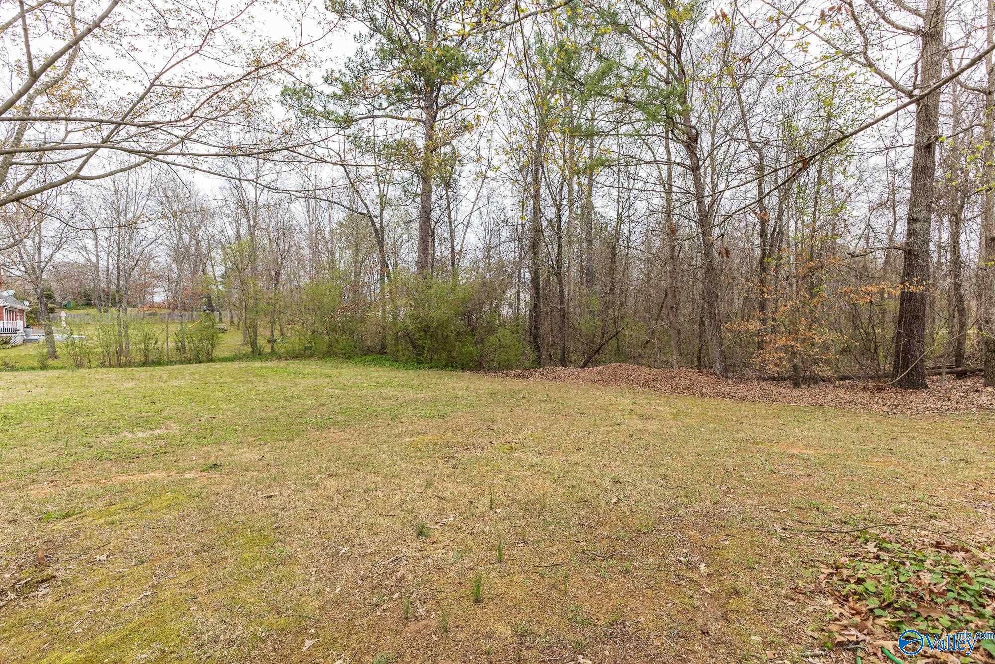 11086 Drennen Drive, Tanner, Alabama image 43