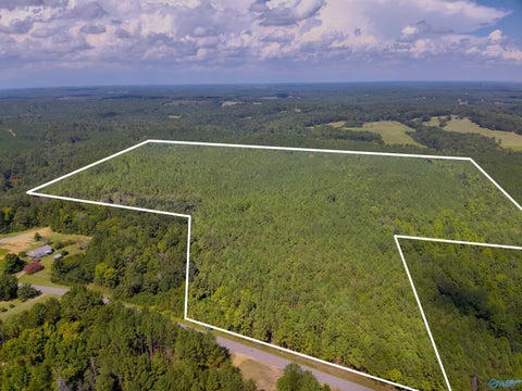Vacant Land For Sale - 103 ACRES County Road 20<br/> Double Springs, AL 35553