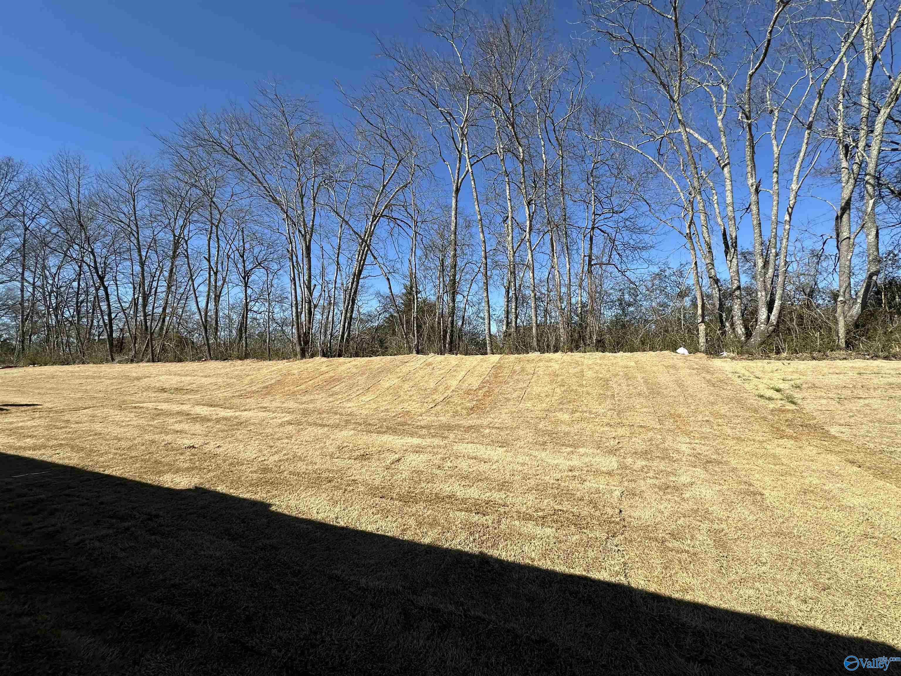 129 Olde Hearth Road, New Market, Alabama image 2