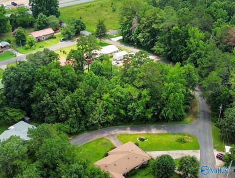 Vacant Land For Sale - LOT 11 Plains Avenue<br/> Fort Payne, AL 35967