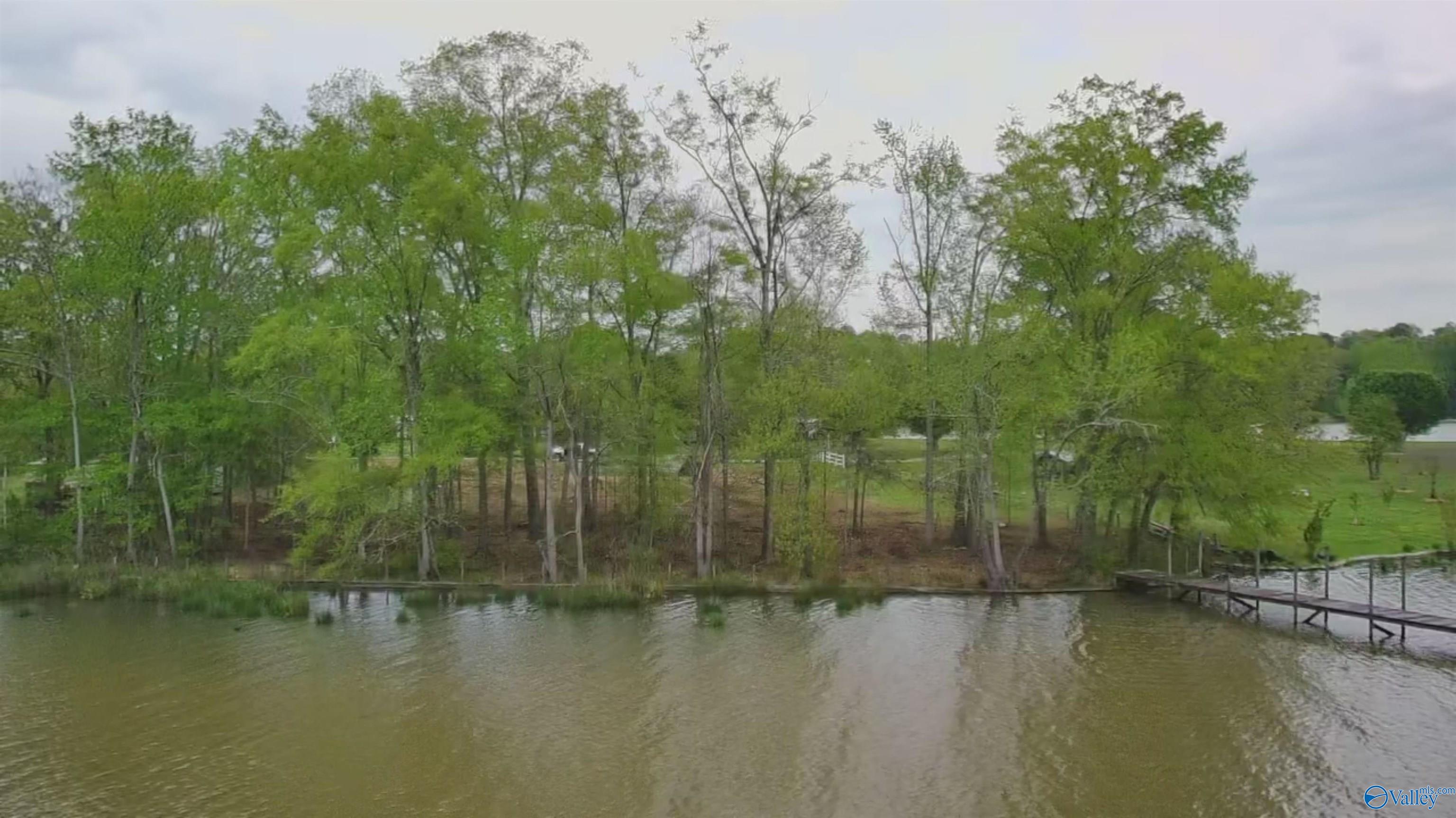 17 County Road 962, Cedar Bluff, Alabama image 27