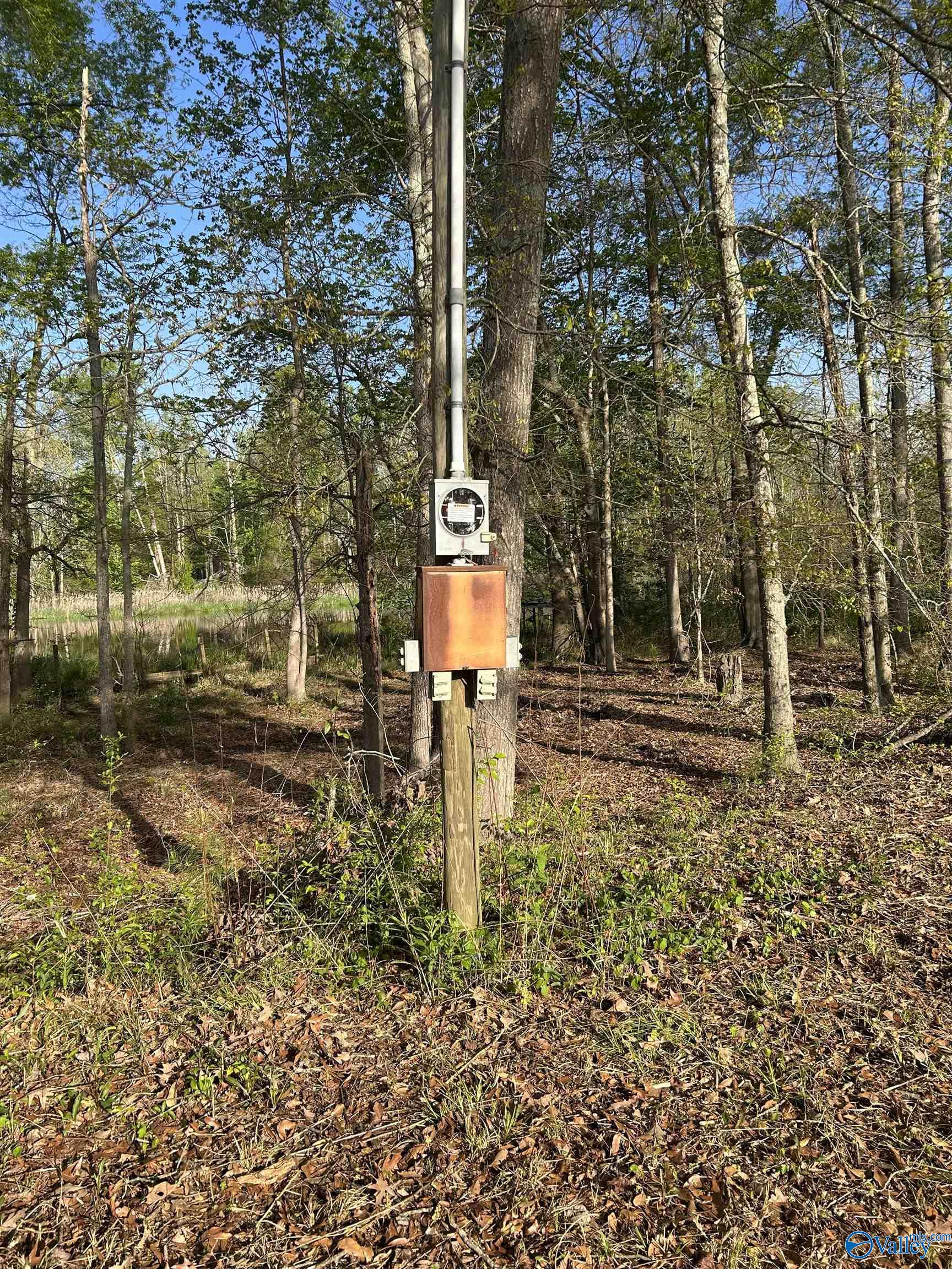 17 County Road 962, Cedar Bluff, Alabama image 11
