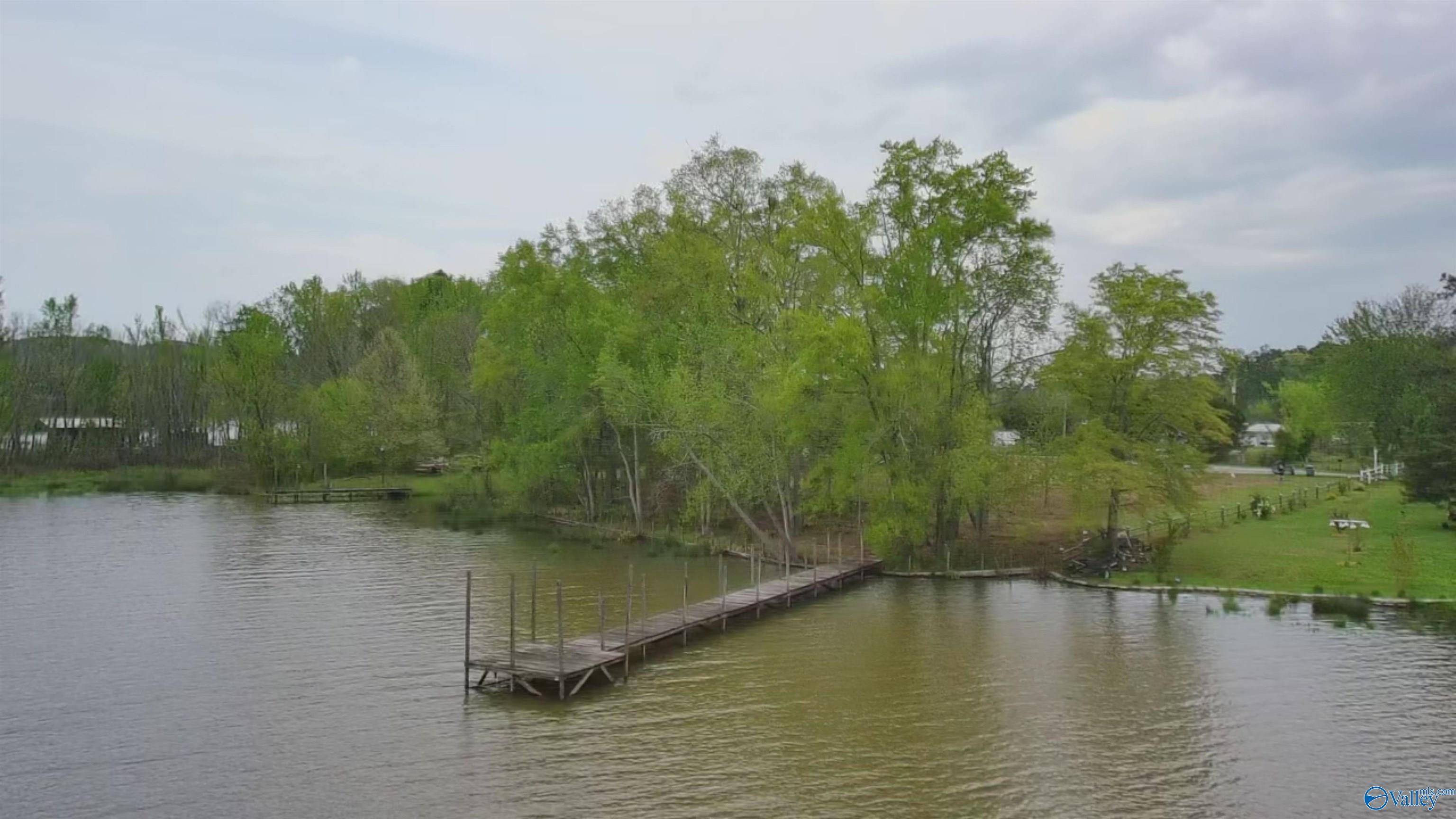 17 County Road 962, Cedar Bluff, Alabama image 1