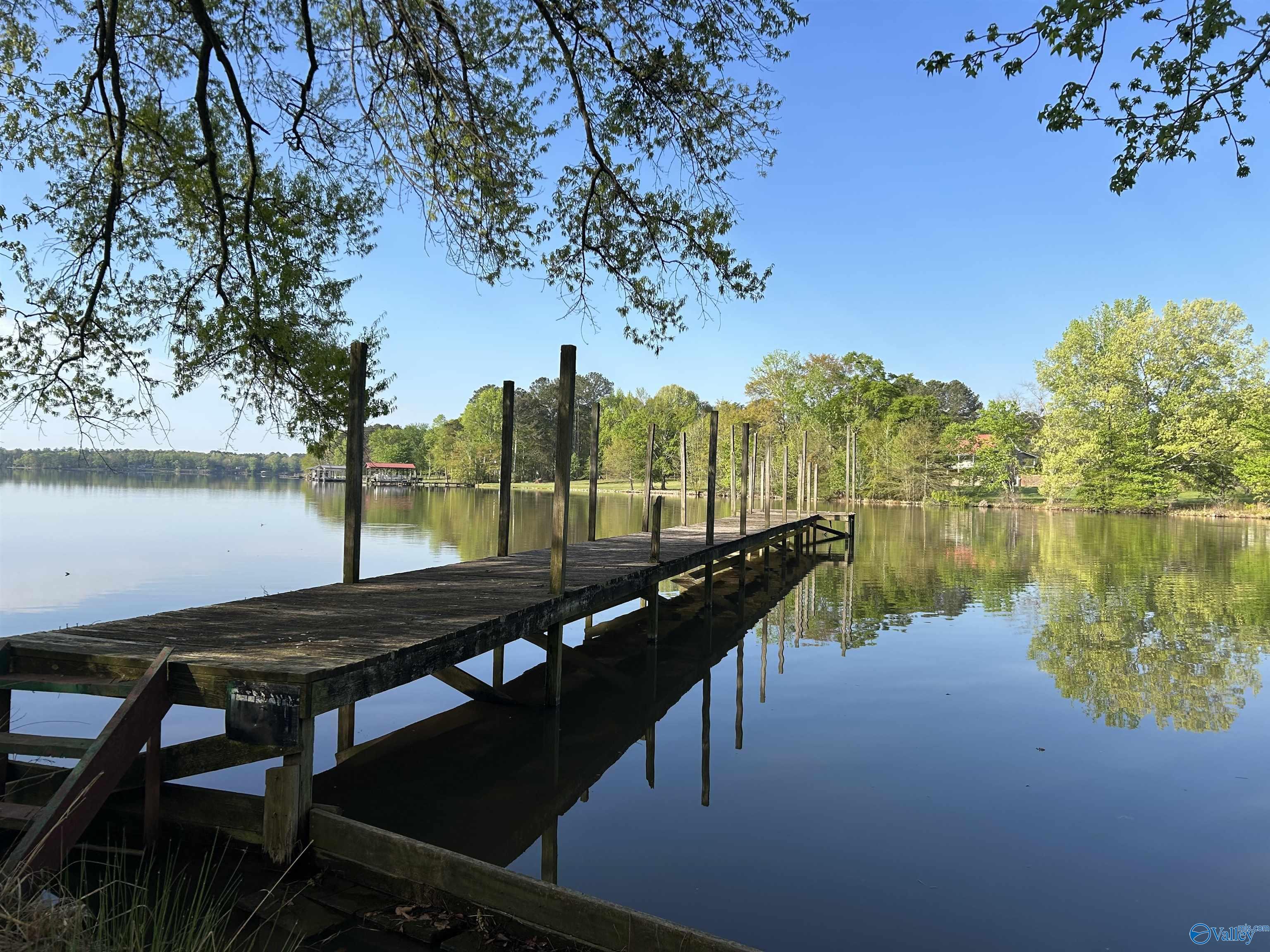 17 County Road 962, Cedar Bluff, Alabama image 17