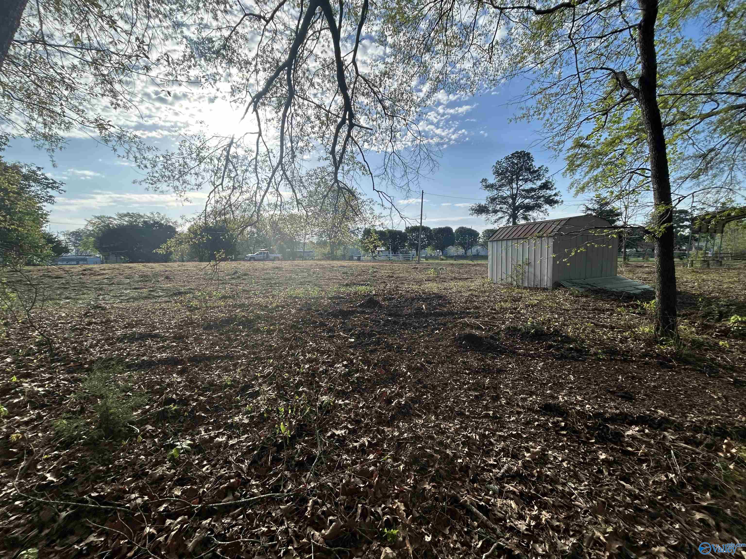 17 County Road 962, Cedar Bluff, Alabama image 5