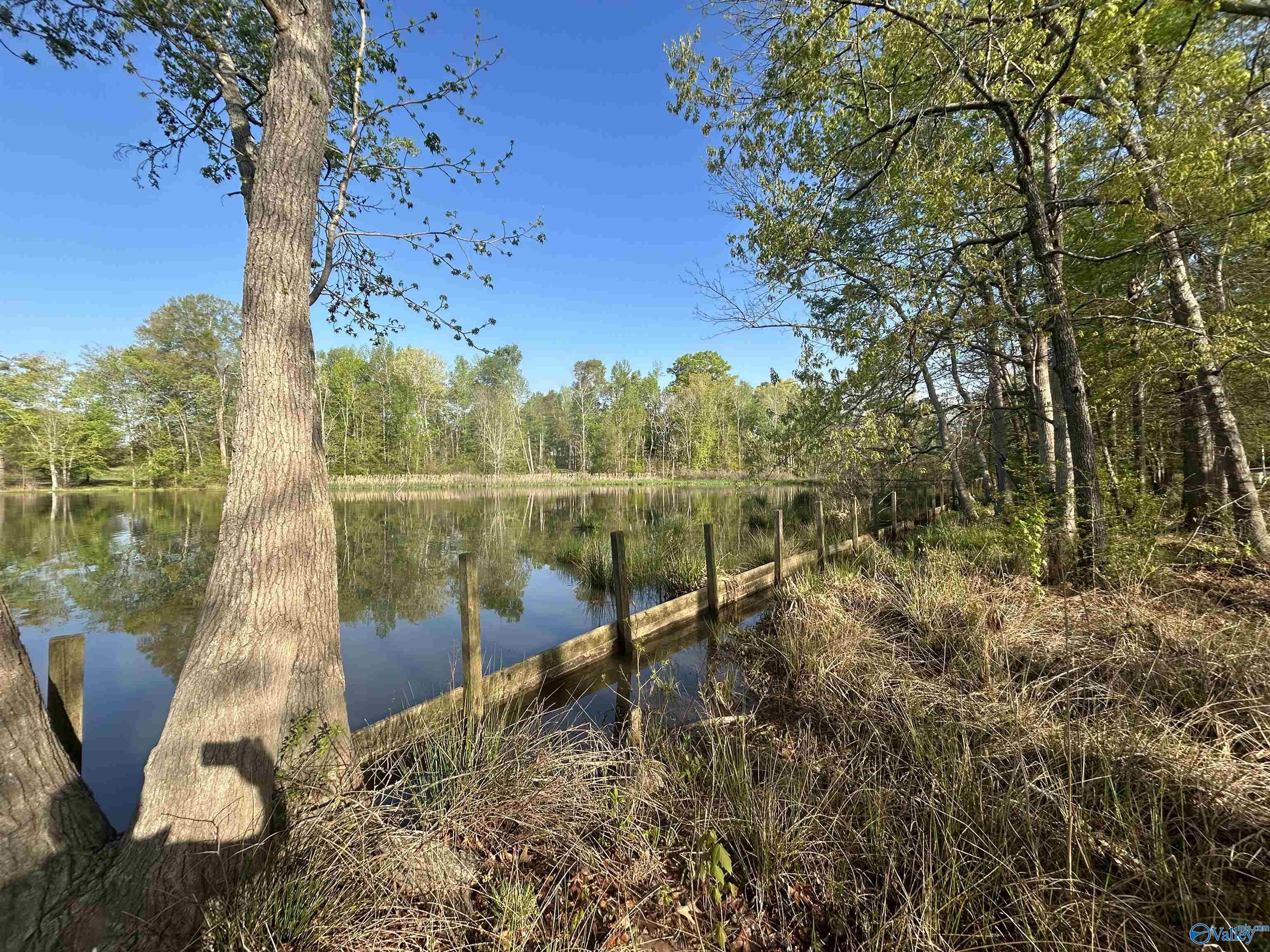 17 County Road 962, Cedar Bluff, Alabama image 19