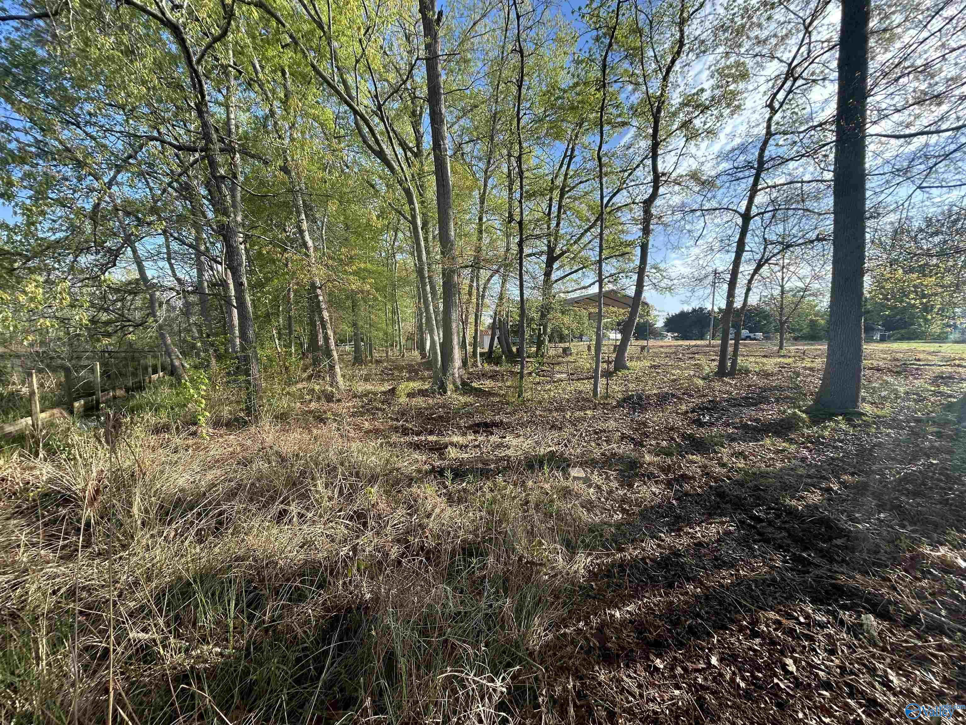 17 County Road 962, Cedar Bluff, Alabama image 20