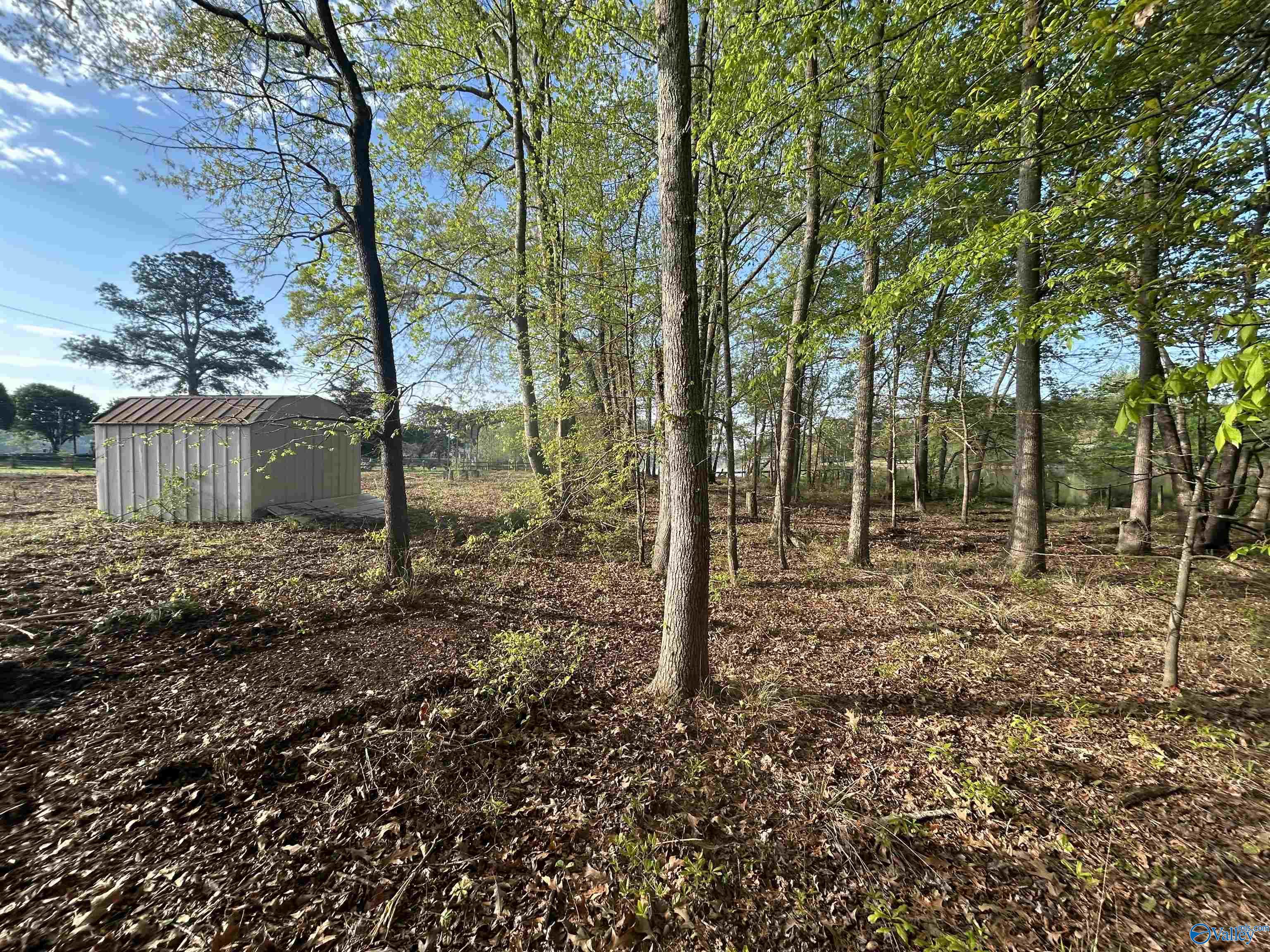17 County Road 962, Cedar Bluff, Alabama image 9
