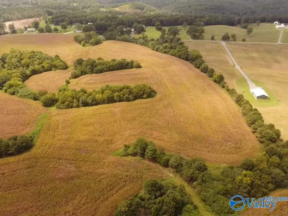 73 Acres Lane Switch Road, Albertville, Alabama image 10