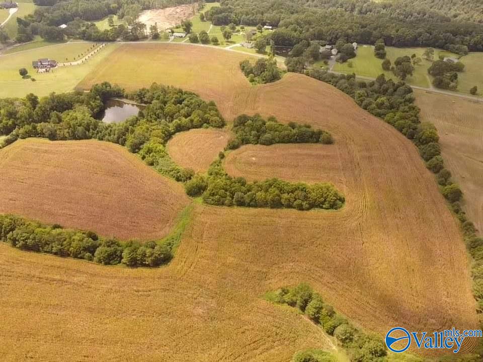 73 Acres Lane Switch Road, Albertville, Alabama image 8