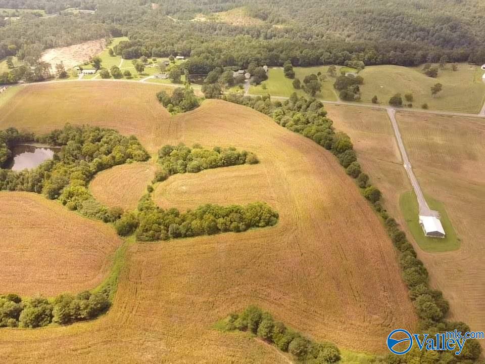 73 Acres Lane Switch Road, Albertville, Alabama image 6