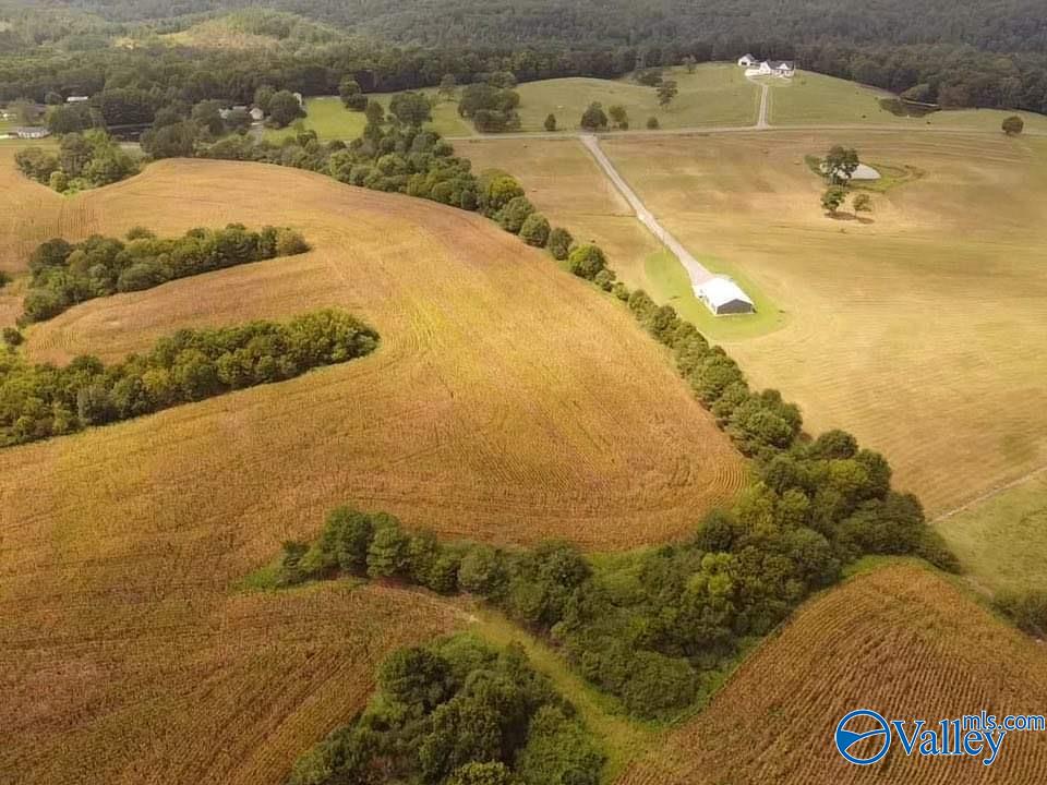 73 Acres Lane Switch Road, Albertville, Alabama image 9