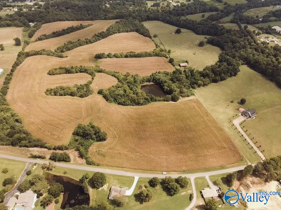 73 Acres Lane Switch Road, Albertville, Alabama image 1