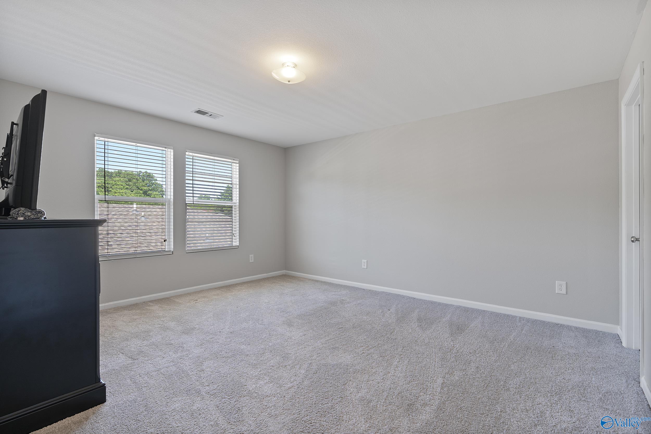 155 Olympia Drive, Meridianville, Alabama image 19