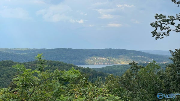 750 UPPER MANCHESTER RD, GUNTERSVILLE, AL 35976 - Image 2eee923edd424cc6c55533640052bc32/1082893313