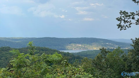 Vacant Land For Sale - 750 Upper Manchester Road<br/> Guntersville, AL 35976