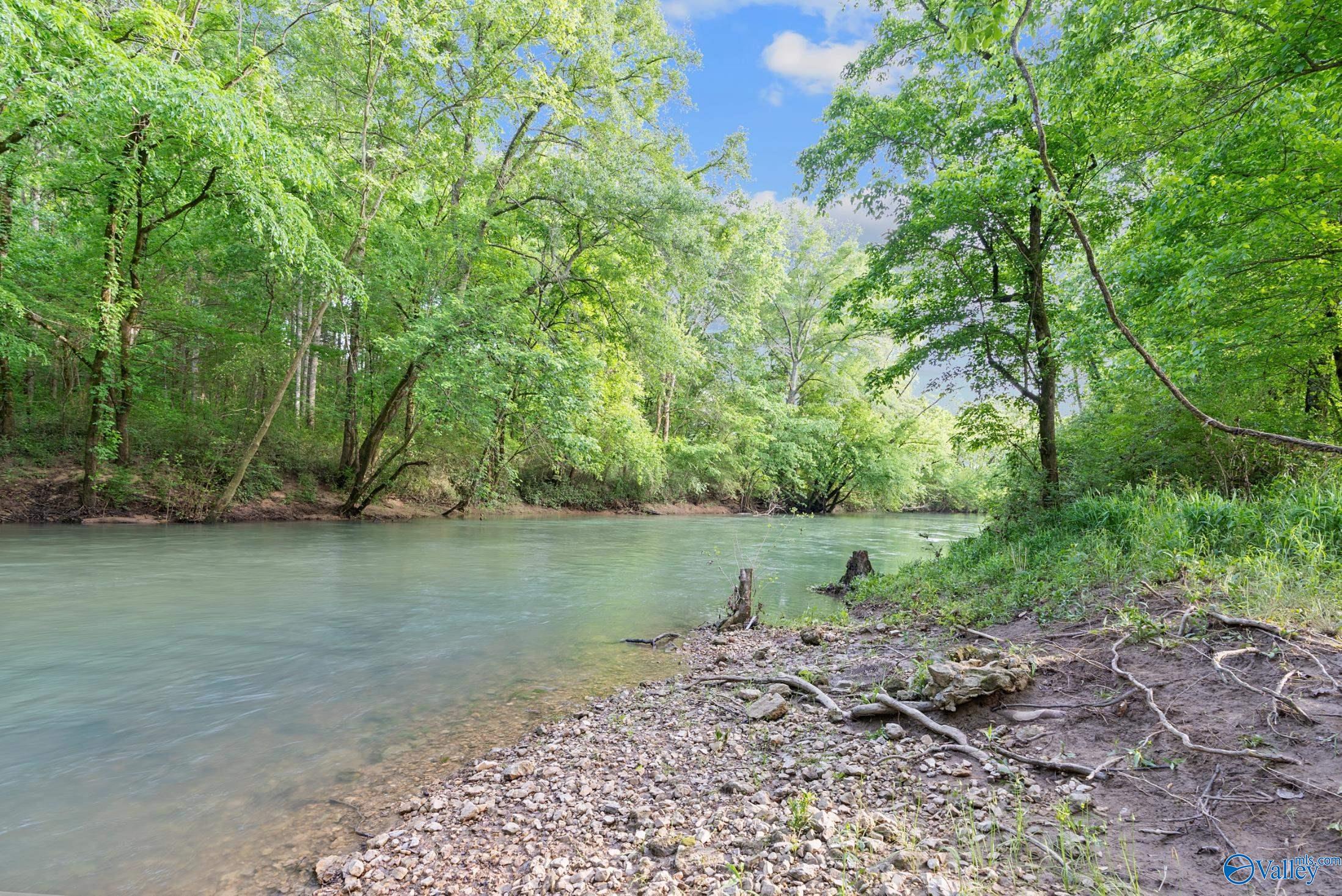 1835 County Road 9, Estillfork, Alabama image 34
