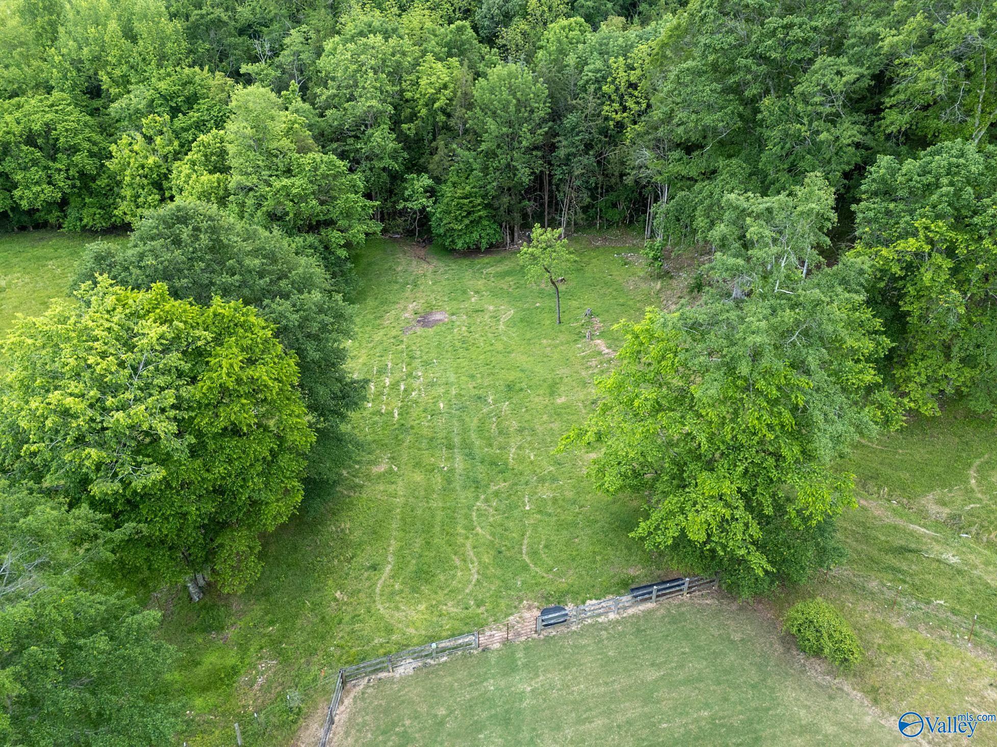 1835 County Road 9, Estillfork, Alabama image 47