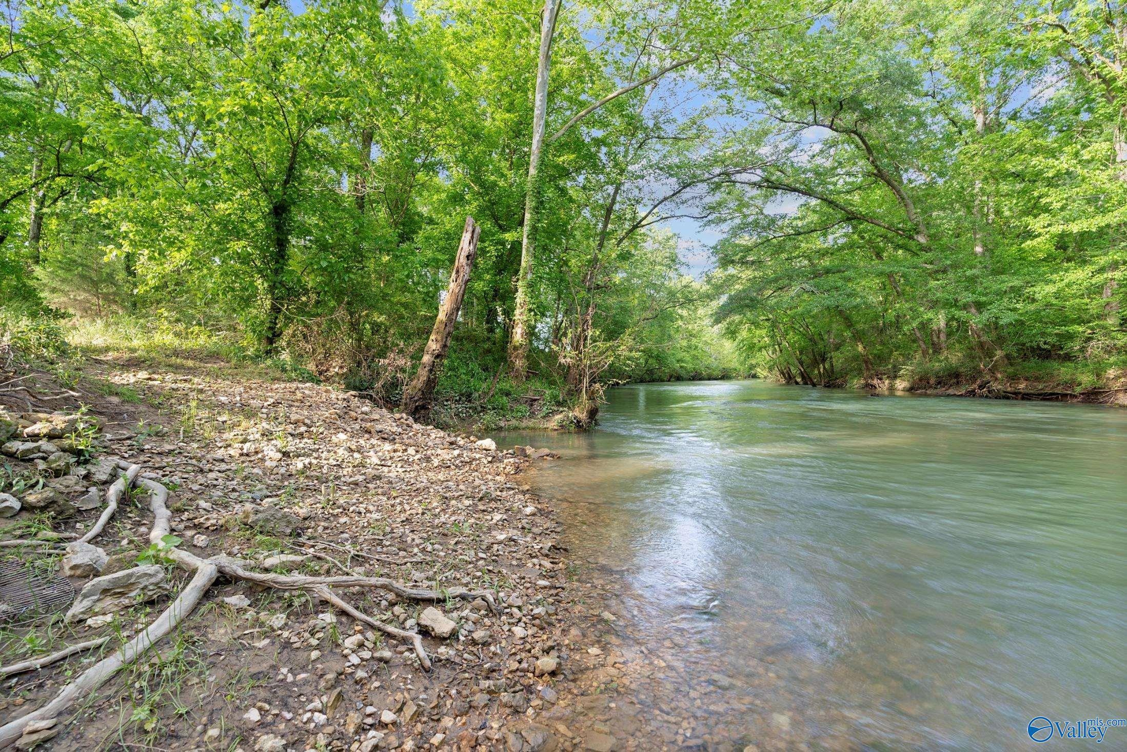 1835 County Road 9, Estillfork, Alabama image 35