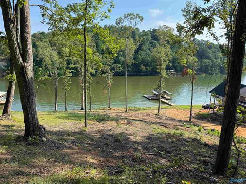Vacant Land For Sale - .39 ACRES County Road 594<br/> Cherokee County, Leesburg, AL 35983