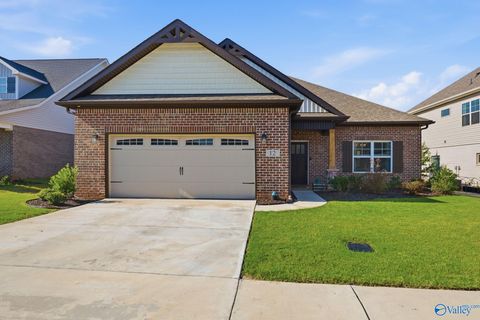 Homes For Sale - 12 Ginsberg Road<br/> Madison, AL 35756