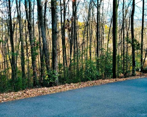 Vacant Land For Sale - 1808 Brown Street<br/> Marshall County County, Guntersville, AL 35976