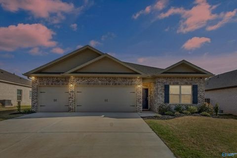 13485 NW Golden Hay Circle Madison AL 35756