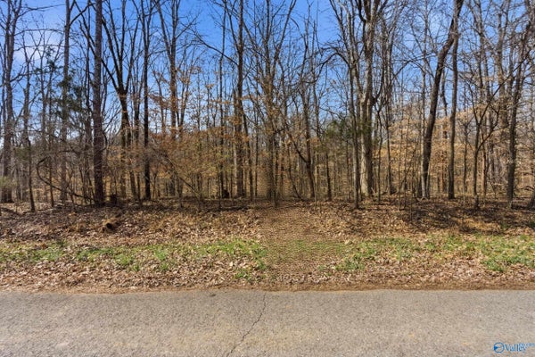 24431 HICKORY DR, ELKMONT, AL 35620 - Image 2f3b117f4c47286584f3ec3f106bc5c6/735766420