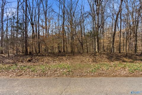 Vacant Land For Sale - 24431 Hickory Drive<br/> Elkmont, AL 35620