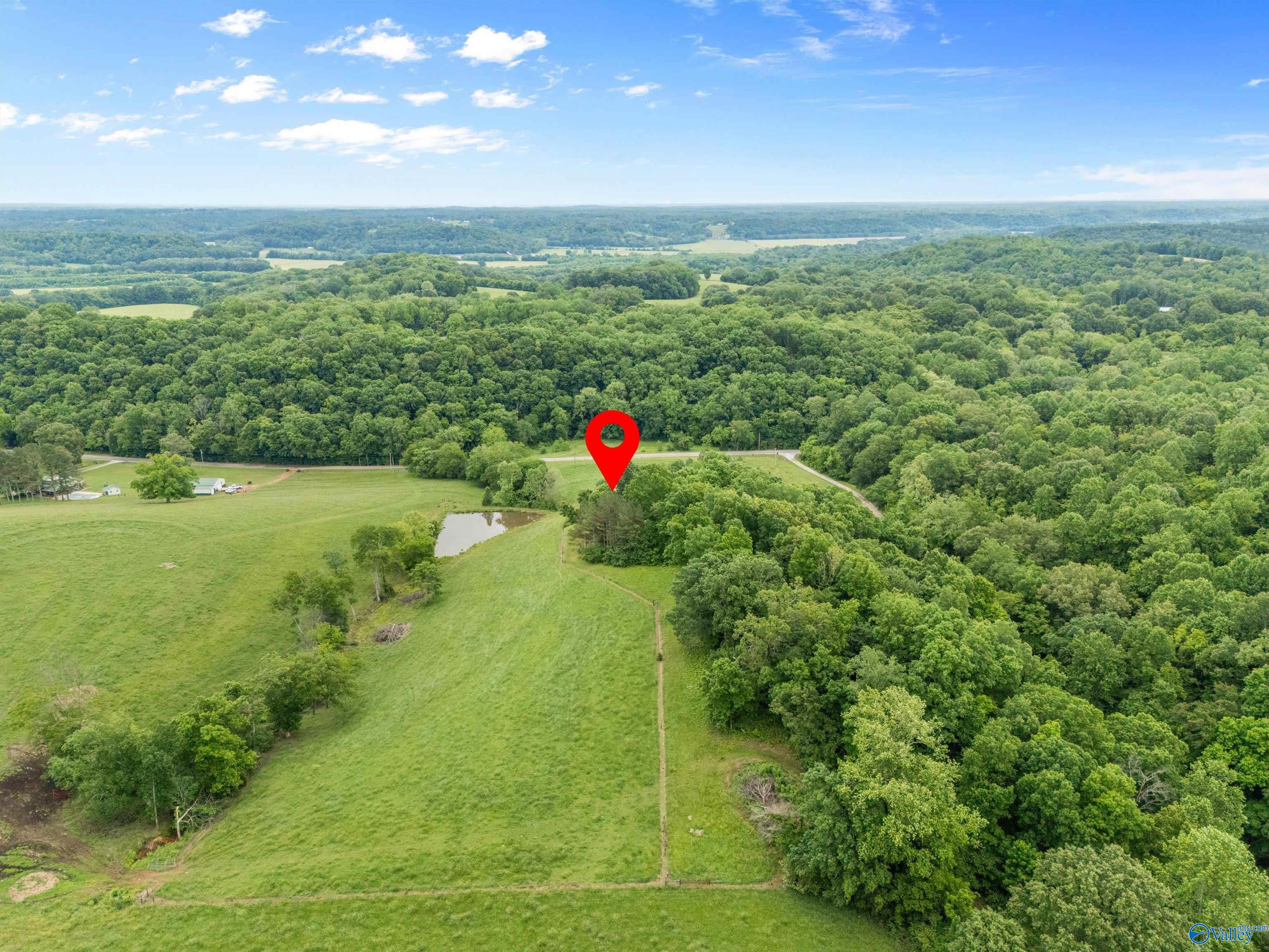 30455 Persimmon Tree Road, Anderson, Alabama image 46
