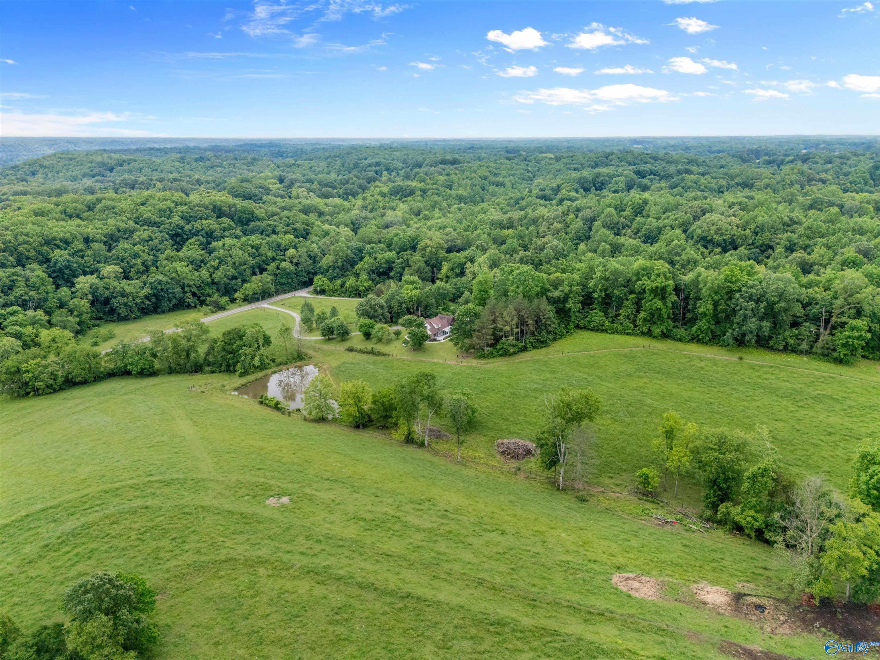 30455 Persimmon Tree Road, Anderson, Alabama image 43