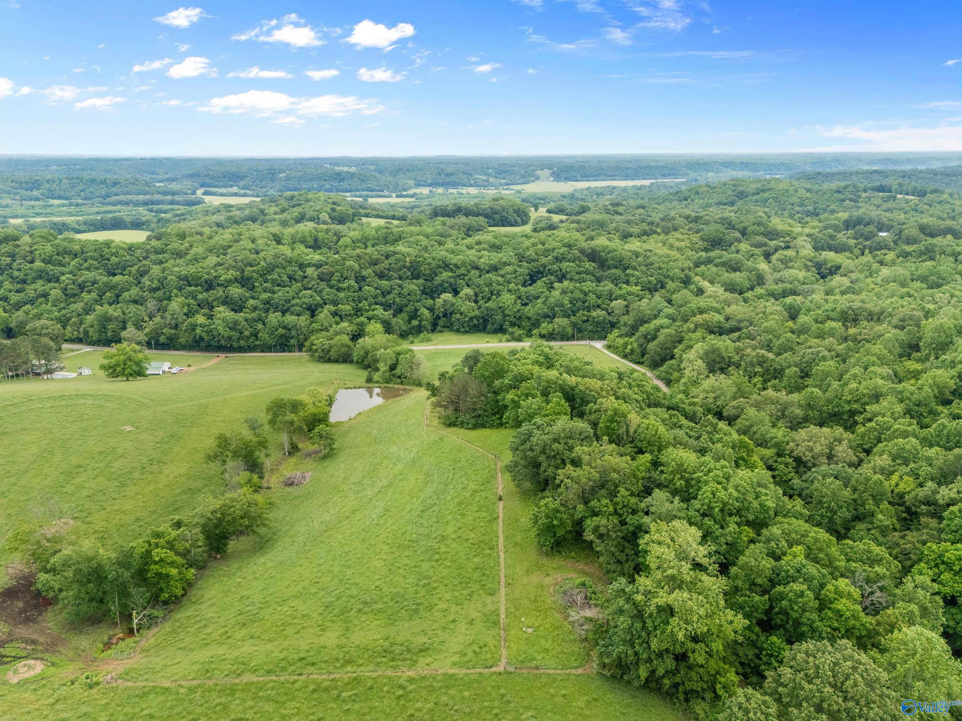 30455 Persimmon Tree Road, Anderson, Alabama image 45