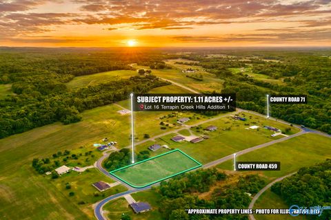 Vacant Land For Sale - LOT 16 County Road 459<br/> Cherokee County, Centre, AL 35960