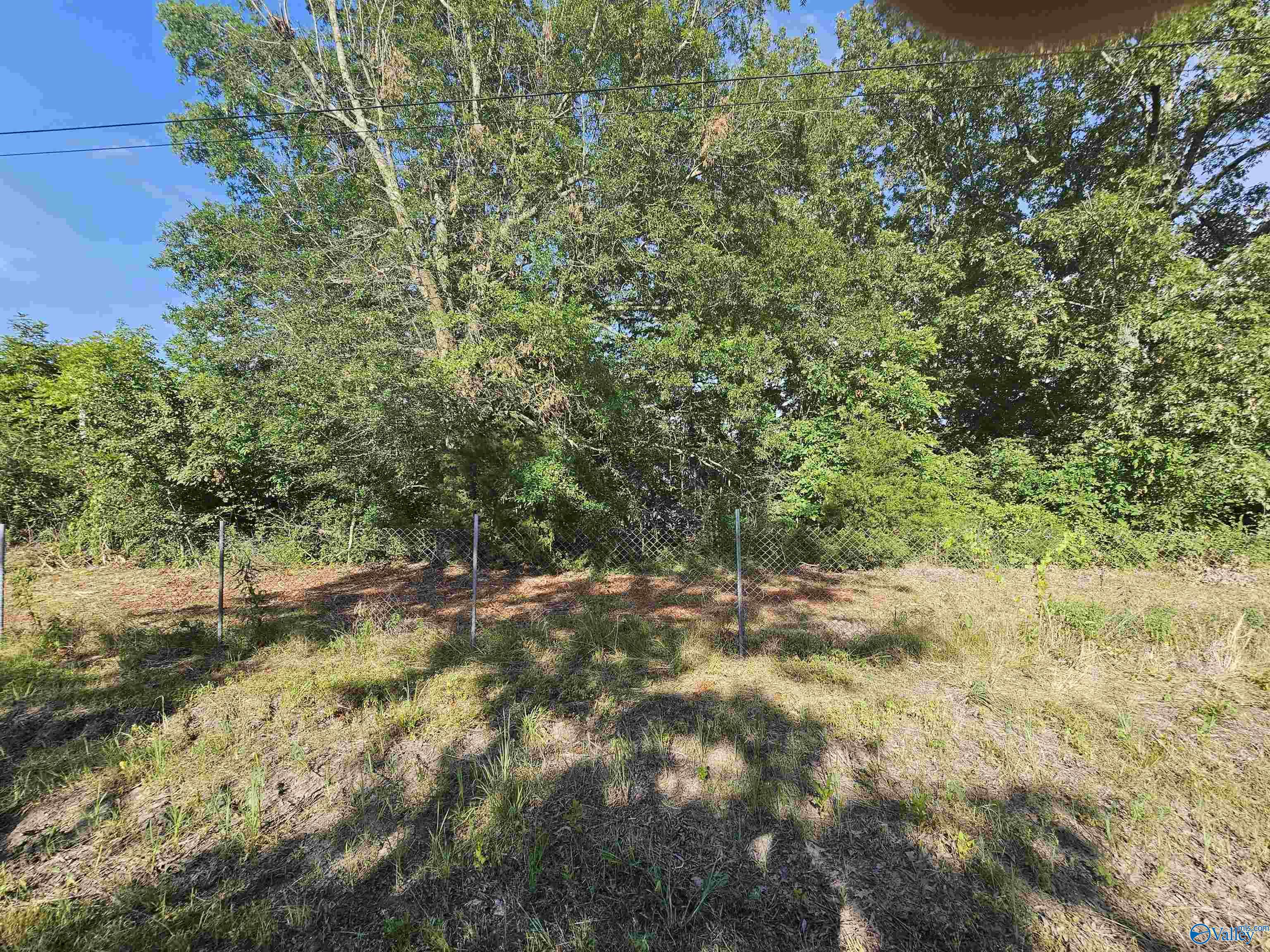 20 Acres #2 Lee Road, Falkville, Alabama image 4