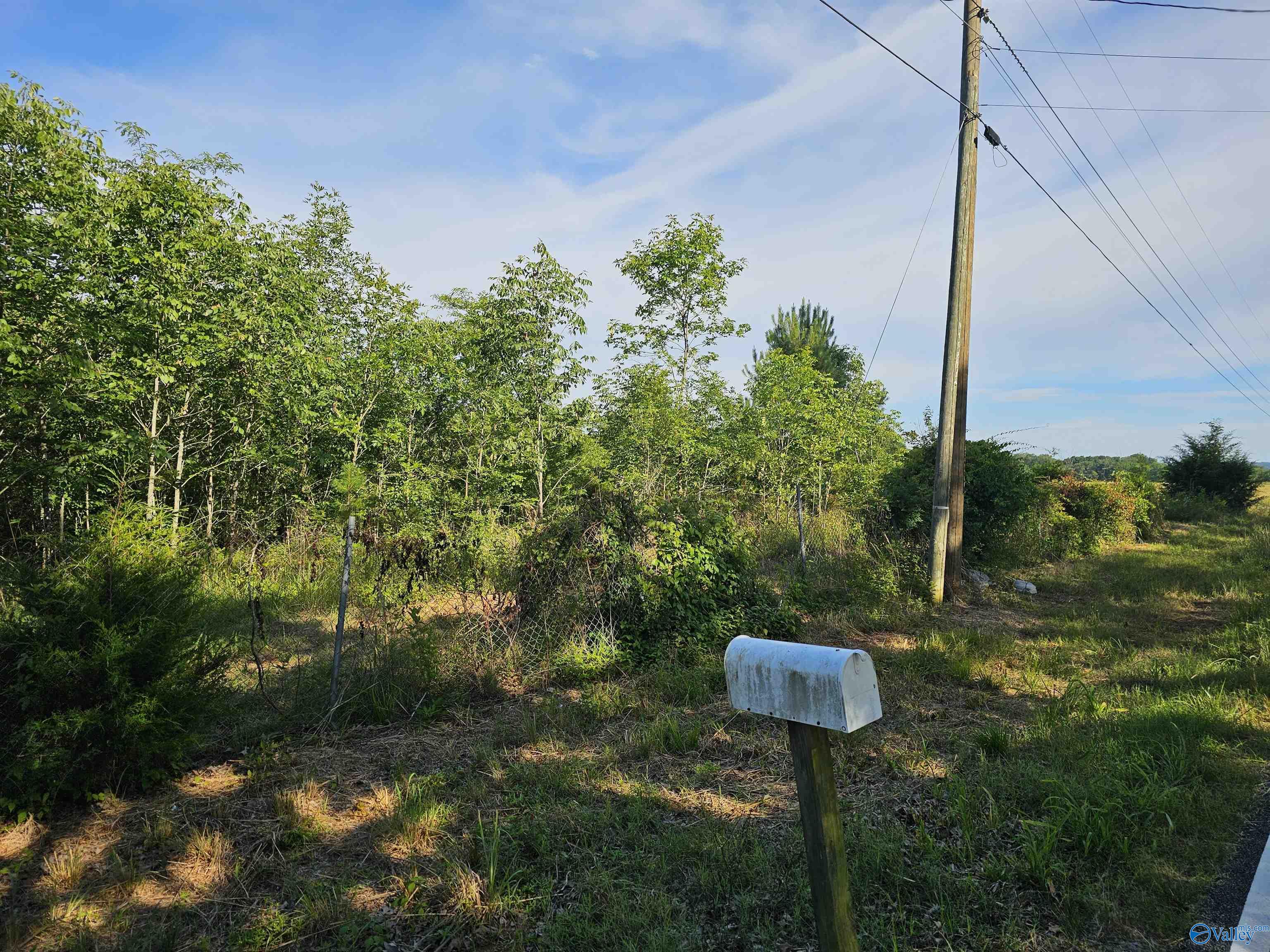 20 Acres #2 Lee Road, Falkville, Alabama image 3