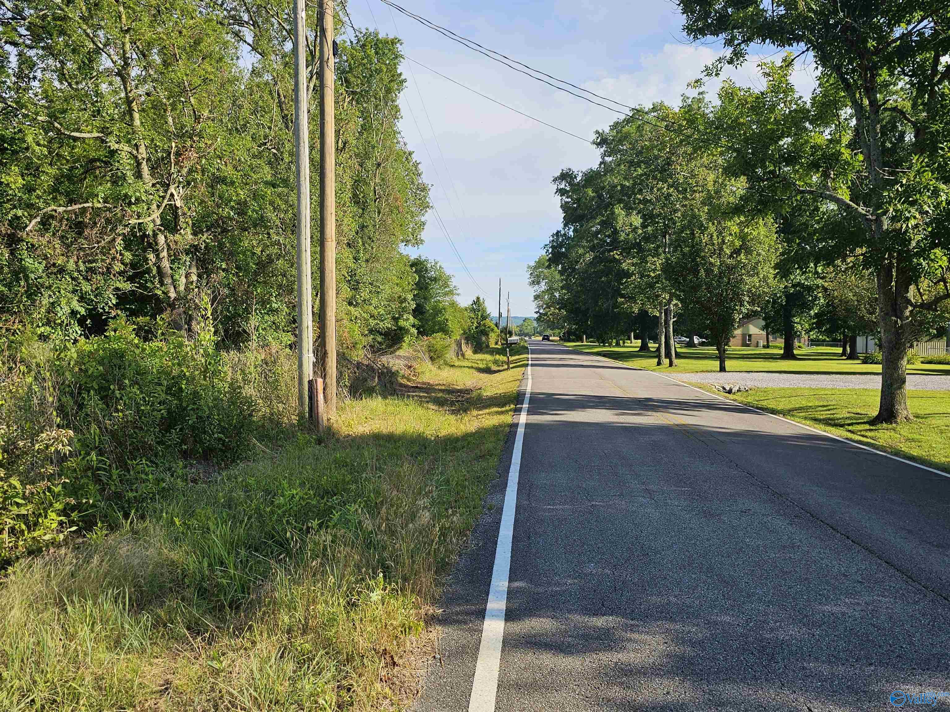 20 Acres #2 Lee Road, Falkville, Alabama image 10