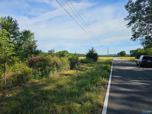 20 ACRES #2 LEE ROAD E, FALKVILLE, AL 35640 - Image 2f5c8c1c5ac95e51e10014176be3ba76/2297720164