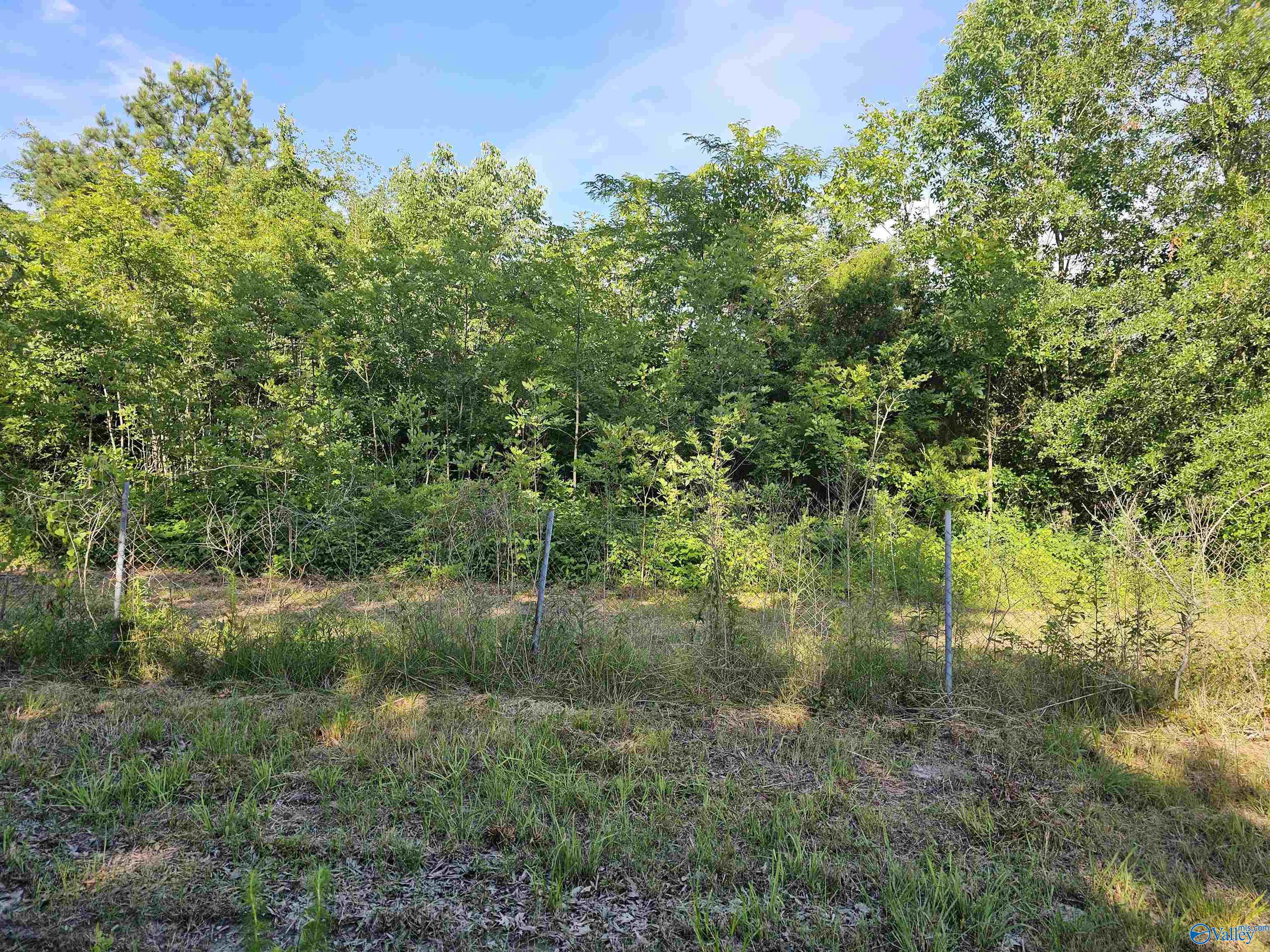 20 Acres #2 Lee Road, Falkville, Alabama image 2