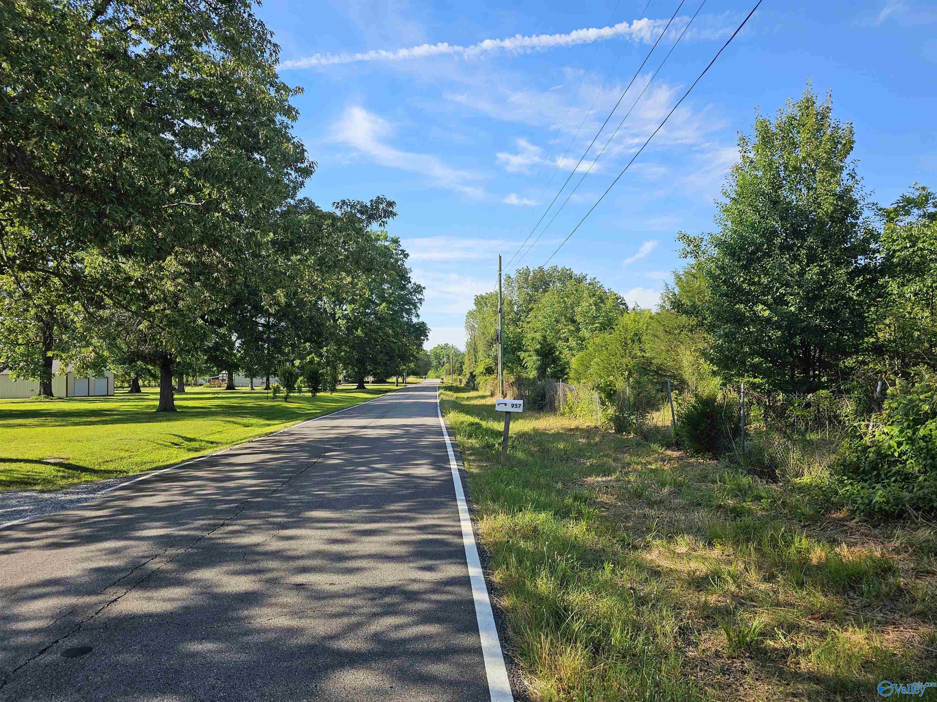 20 Acres #2 Lee Road, Falkville, Alabama image 16