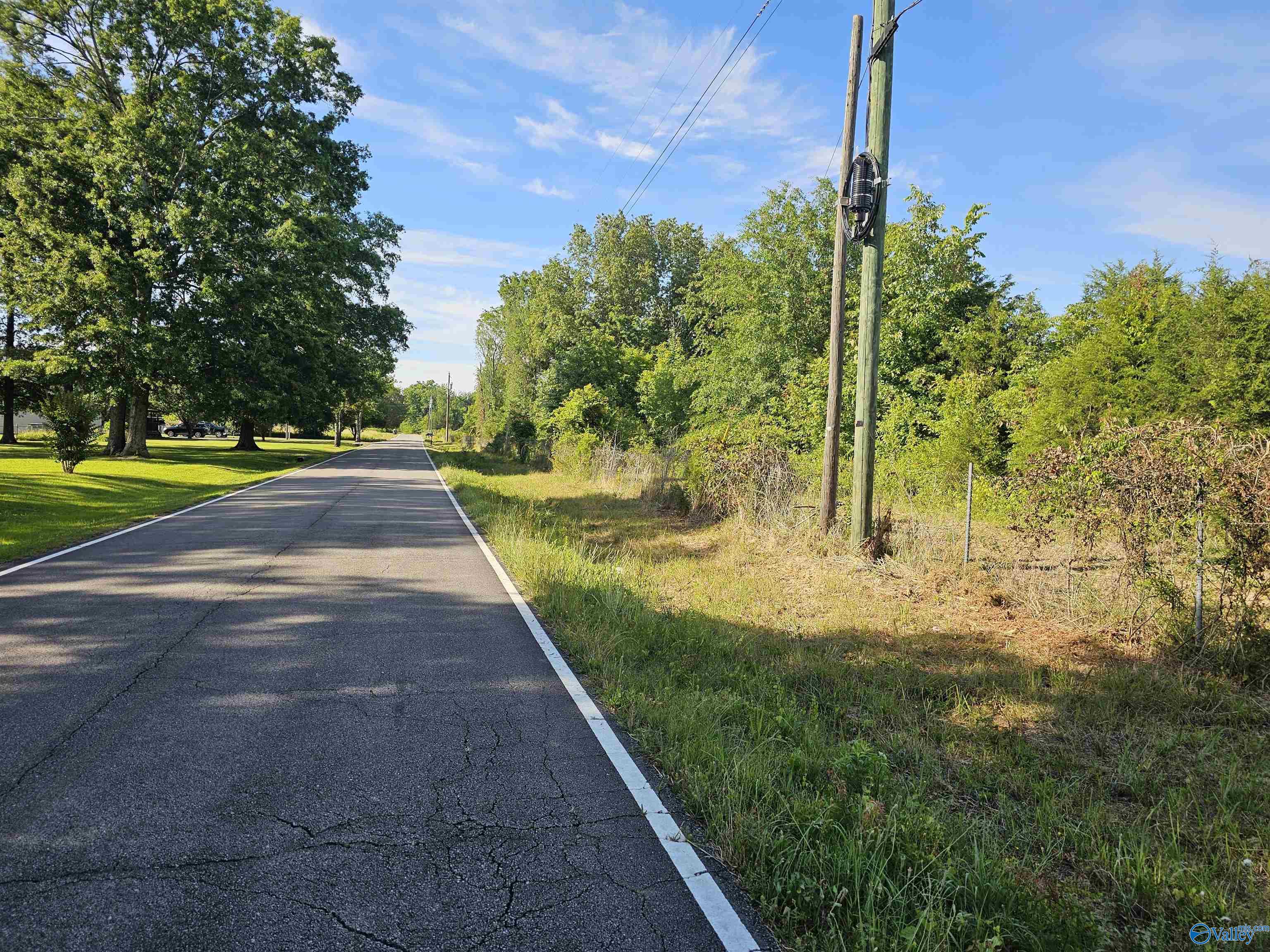 20 Acres #2 Lee Road, Falkville, Alabama image 17