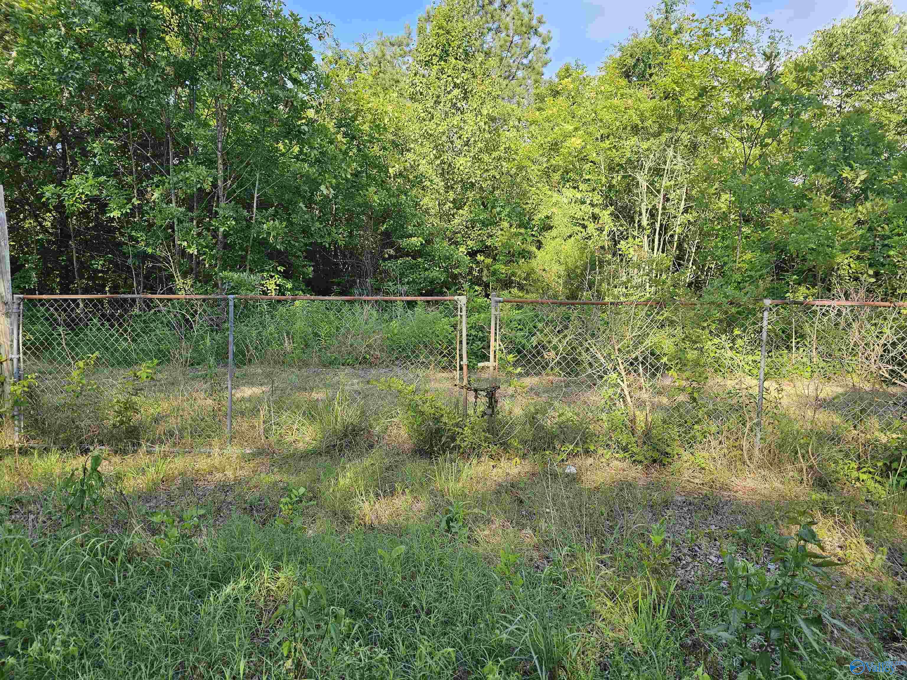 20 Acres #2 Lee Road, Falkville, Alabama image 5