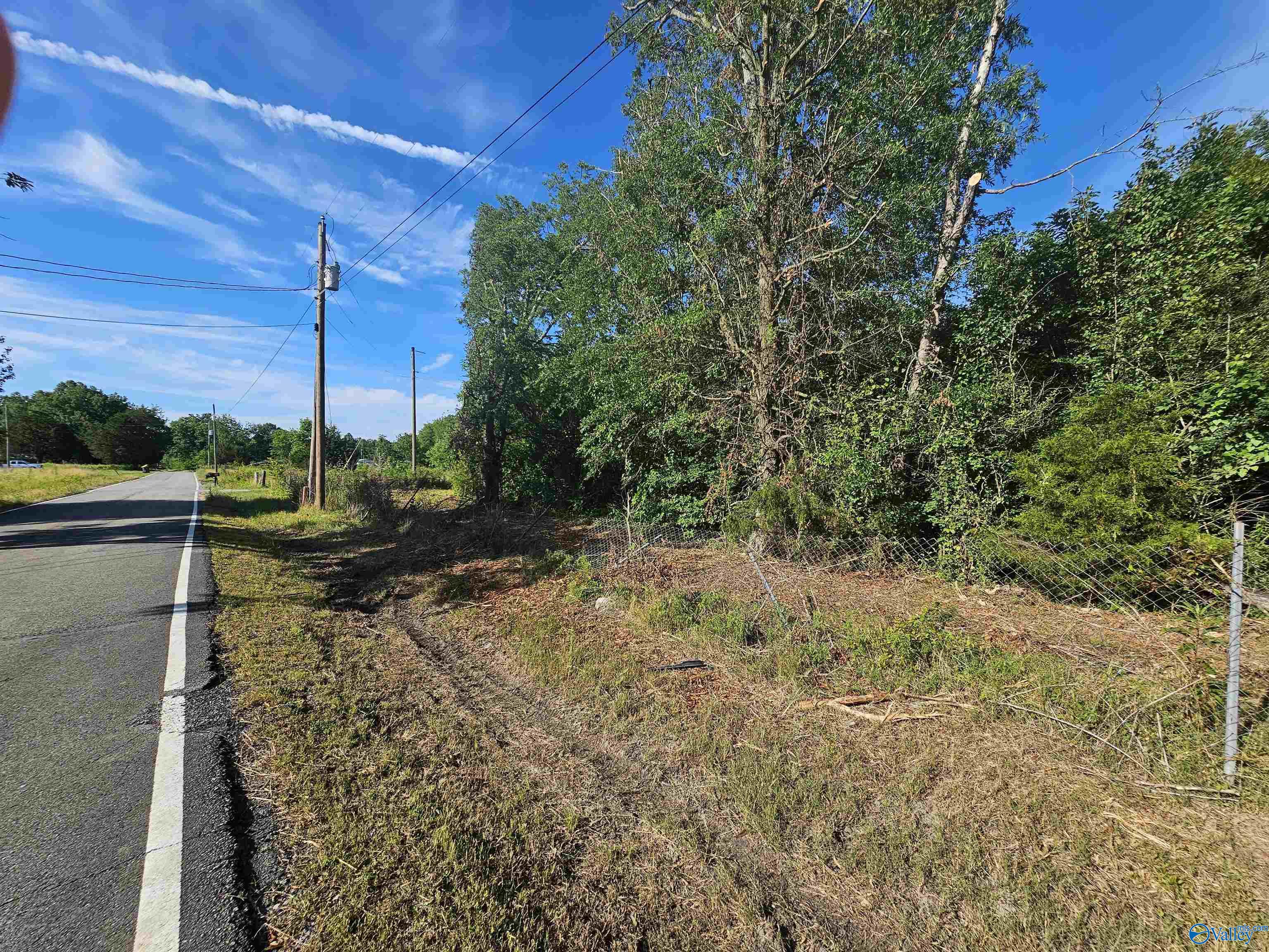 20 Acres #2 Lee Road, Falkville, Alabama image 15