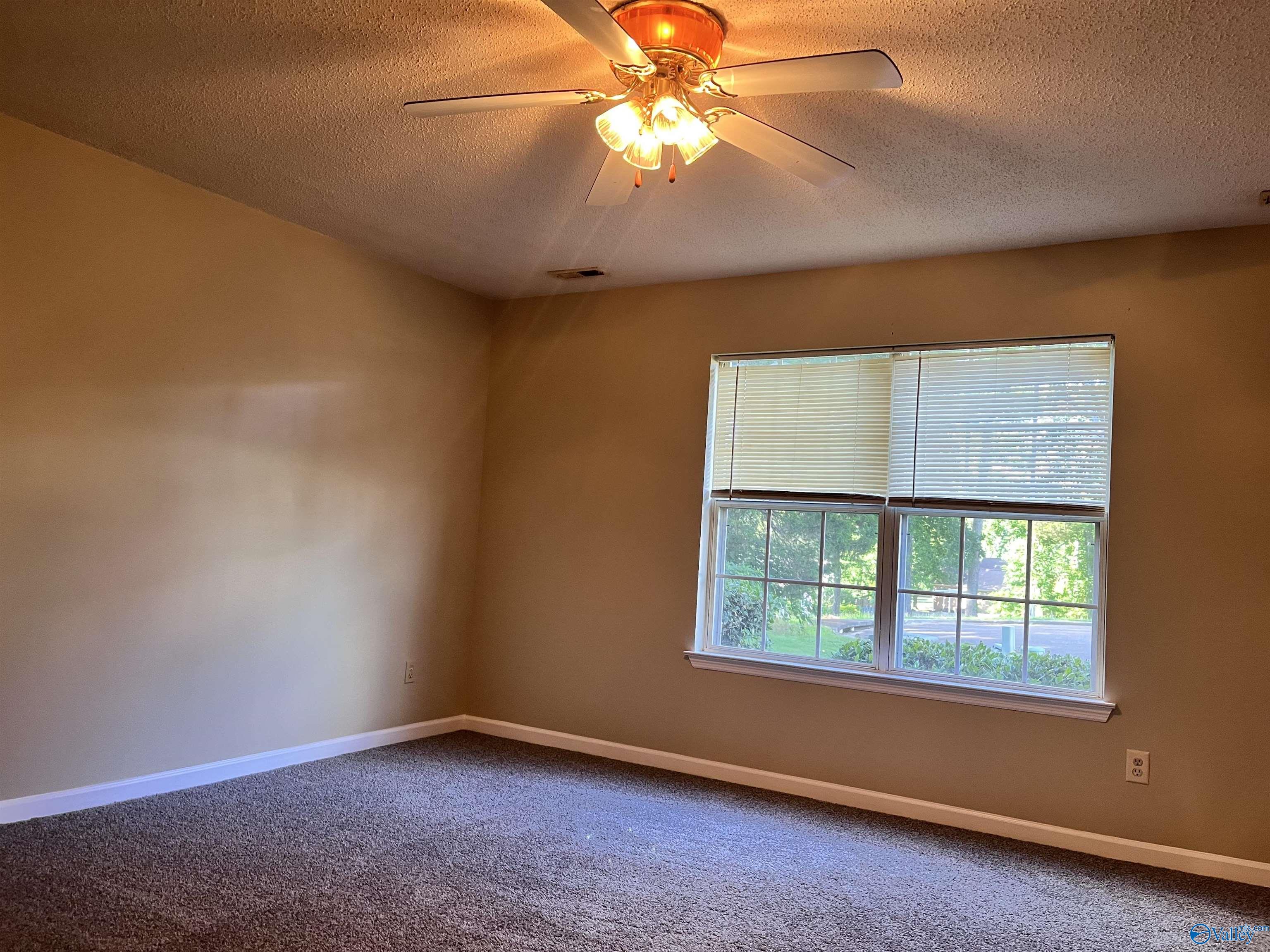 104 Maidencane Circle, Meridianville, Alabama image 8