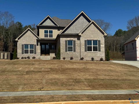 Homes For Sale - 233 Oakland View Drive<br/> Brownsboro, AL 35741