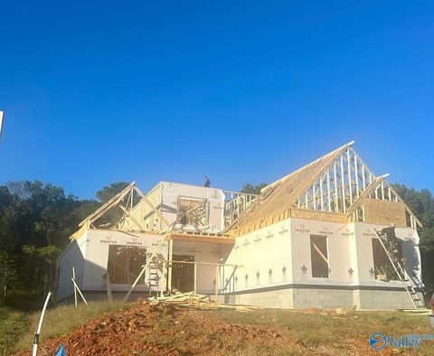 233 Oakland View Drive Brownsboro AL 35741